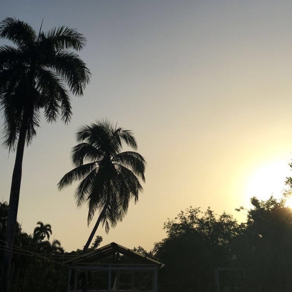 Meet your Posher, Kyleigh